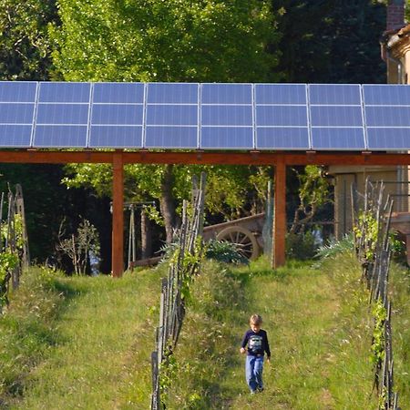 Agriturismo Le Volpaie Villa San Gimignano Eksteriør bilde
